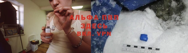 соль ск Бородино