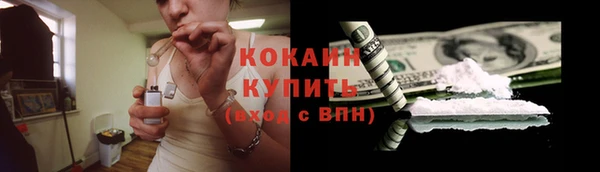 соль ск Бородино