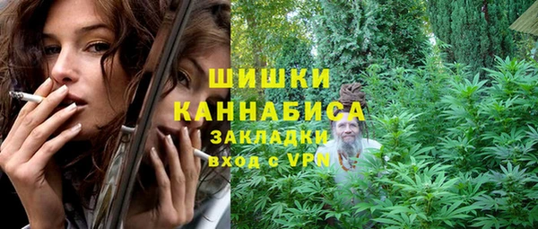 соль ск Бородино